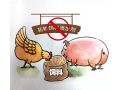 飼料“禁抗”新政出臺(tái)，行業(yè)準(zhǔn)備好了嗎？