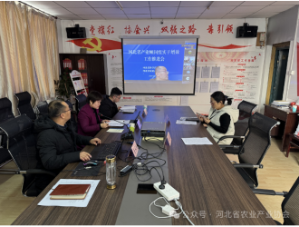 河北省產(chǎn)業(yè)顧問組實干增效工作推進會議順利召開
